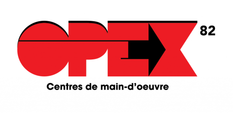 Étudiant(e) conseiller(ère) en emploi auprès d’une clientèle judiciarisée